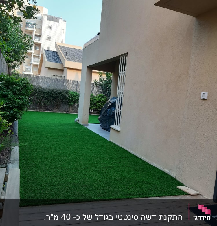 דשא סינתטי ירוק ליד שביל עץ בגינה